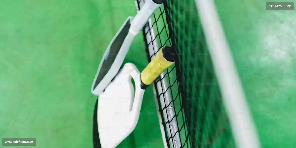 行业领先的理由